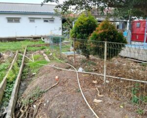 IMG-20260724-WA0099